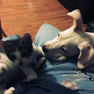 Meet your Posher, Ann